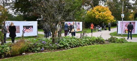 2025-10-13 Ausstellung Demenz neu sehen (10) 2025-10-13 Ausstellung Demenz neu sehen (10)